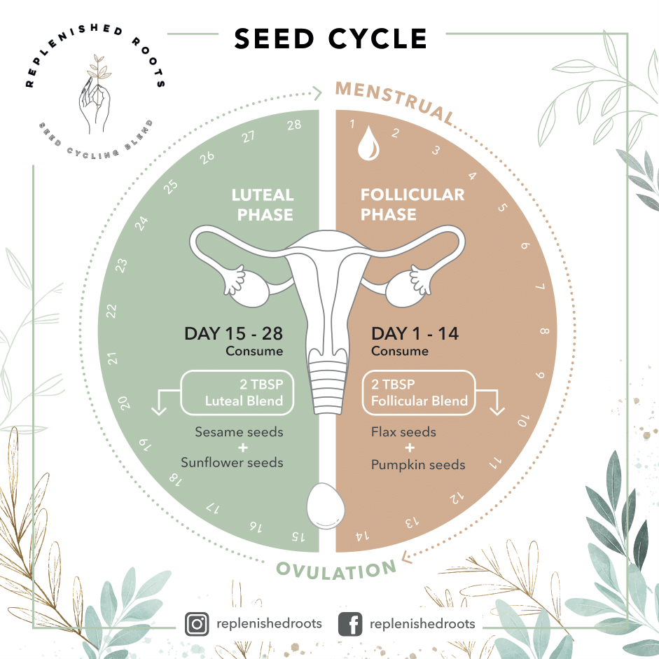 Seed Cycling set